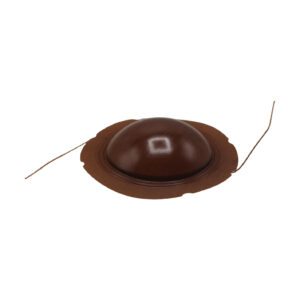 membrane