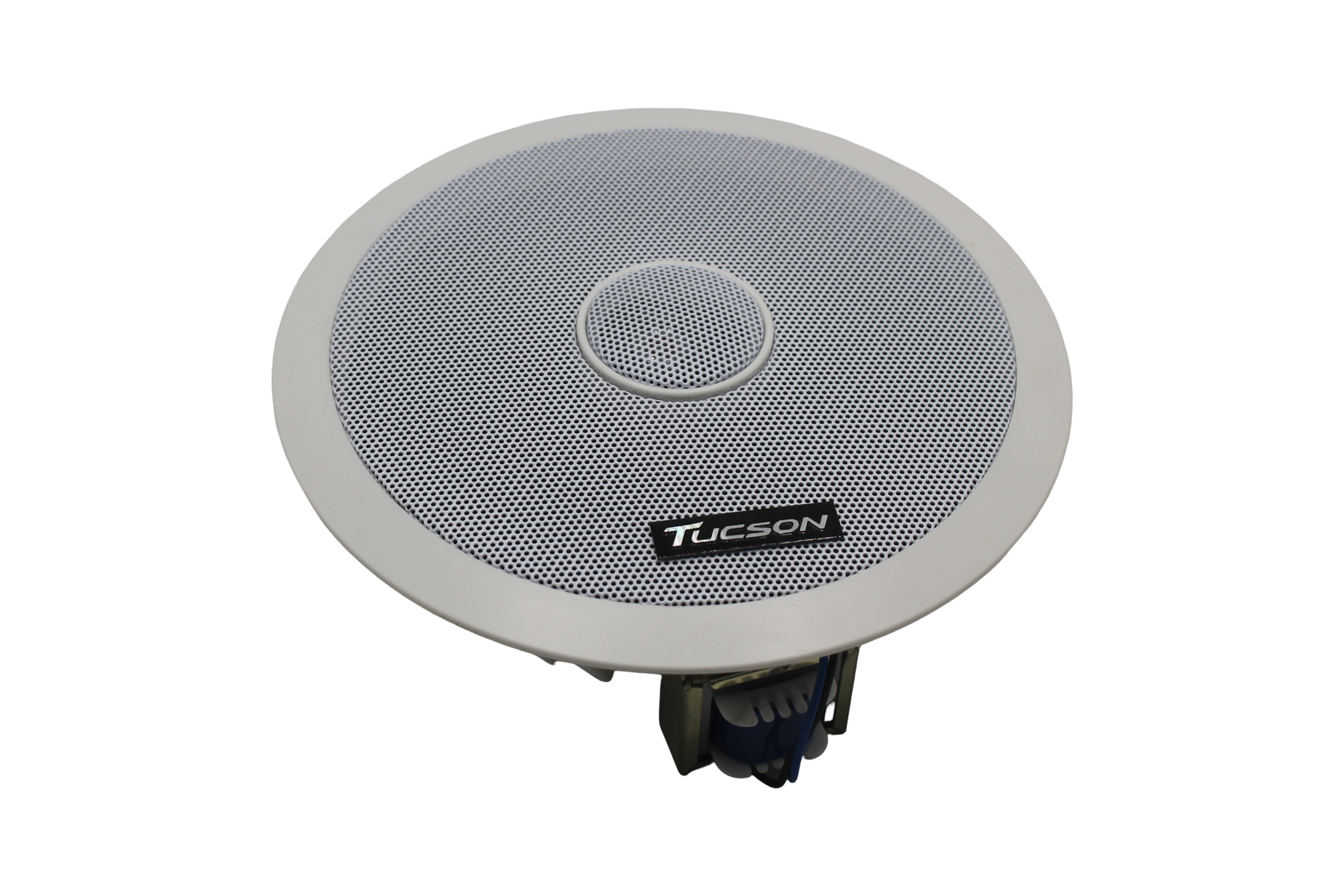 Haut-parleur plafonnier TUCSON